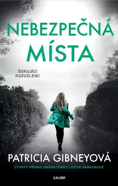 Nebezpečná místa