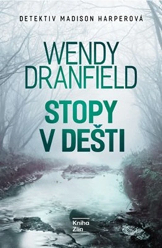 Stopy v dešti