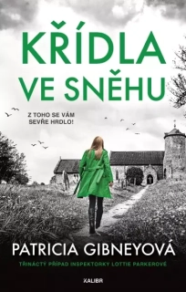Křídla ve sněhu