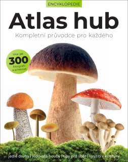 Atlas hub